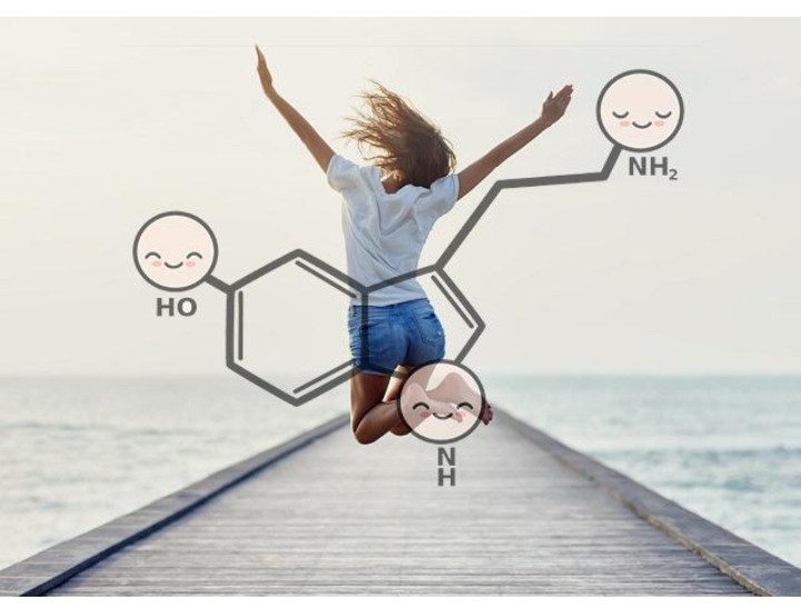 Cóctel de la felicidad ¿Qué importancia tienen las hormonas de la