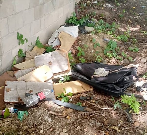 Basurero Improvisado afecta Comunidades del sector El Deleite en Cúa
