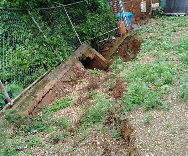 Escuela Guayamural en riesgo de colapso: padres denuncian suspensión de clases