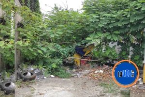 Denuncian Abandono de la escultura "El Abrazo" Patrimonio Cultural del municipio Tomás Lander