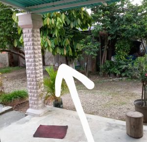 #TuyeroDenuncia: Vecinos del sector Aponte en Ocumare exigen cierre de criadero de cerdos por graves afectaciones sanitarias
